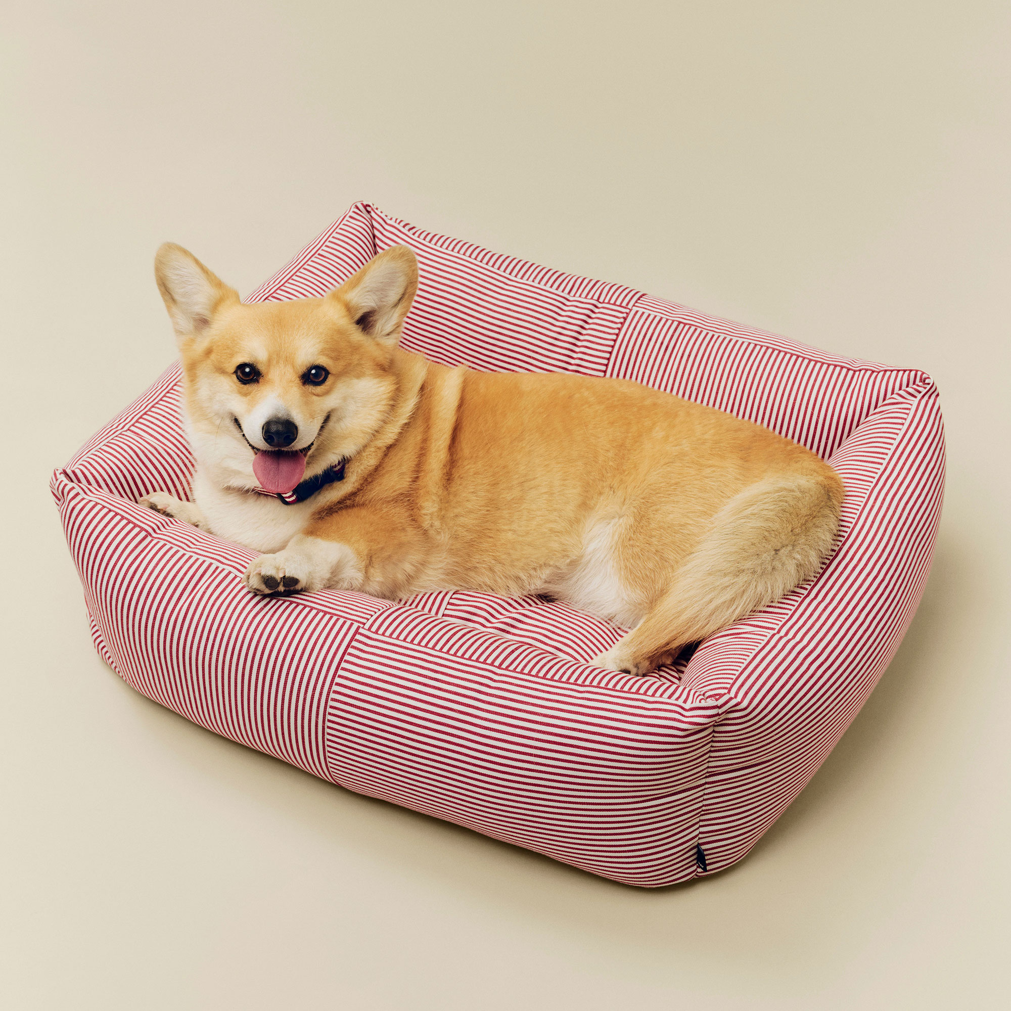 HAY Dogs Bed | Gulled