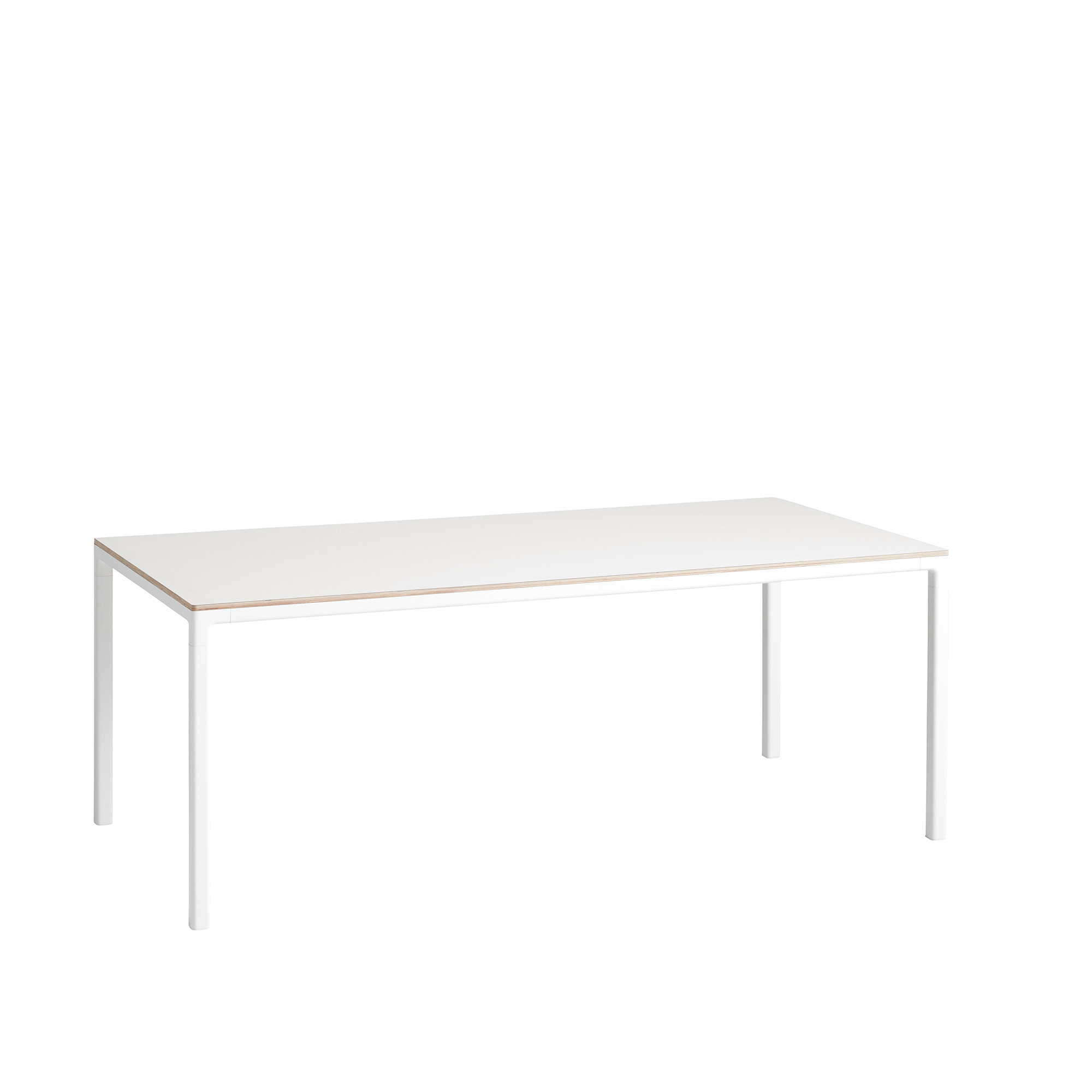 T12 Table