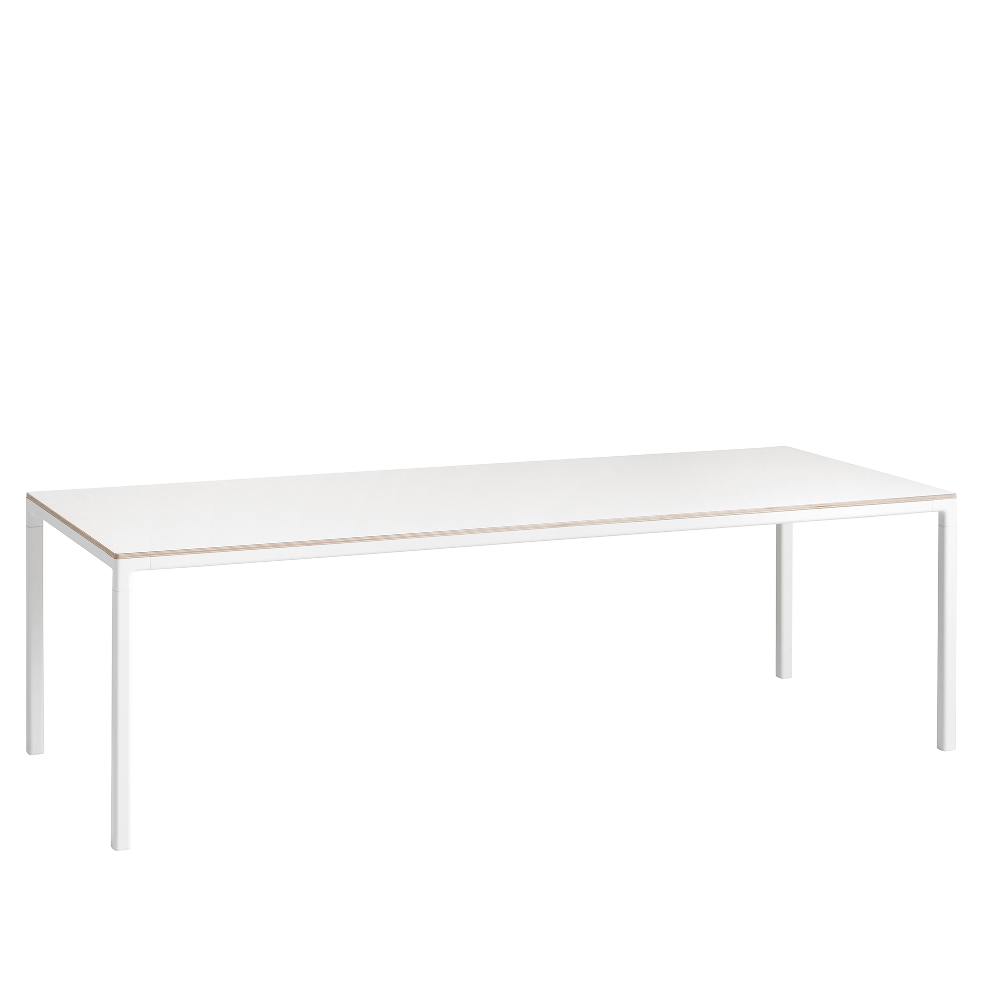 T12 Table