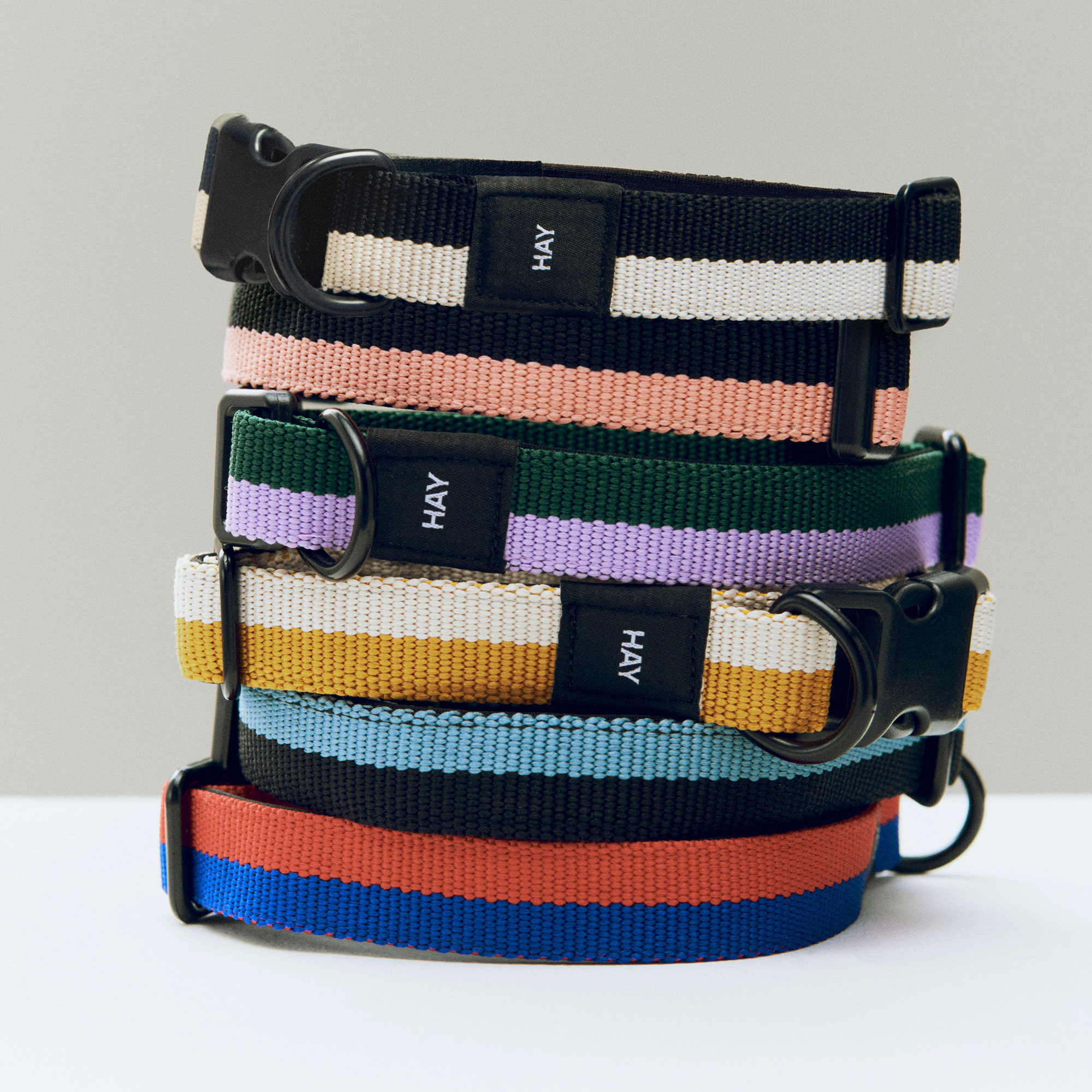 HAY Dogs Collar