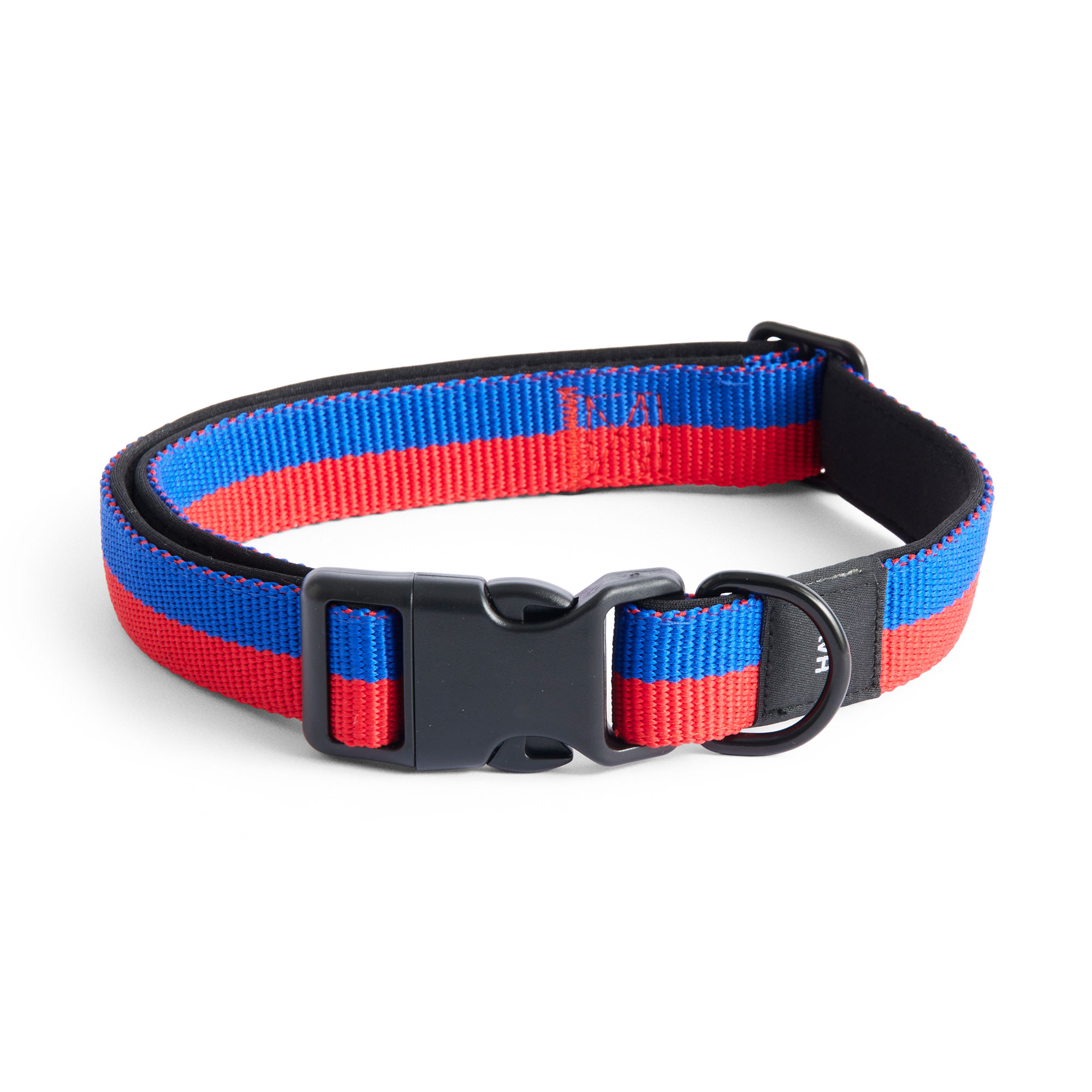 HAY Dogs Collar