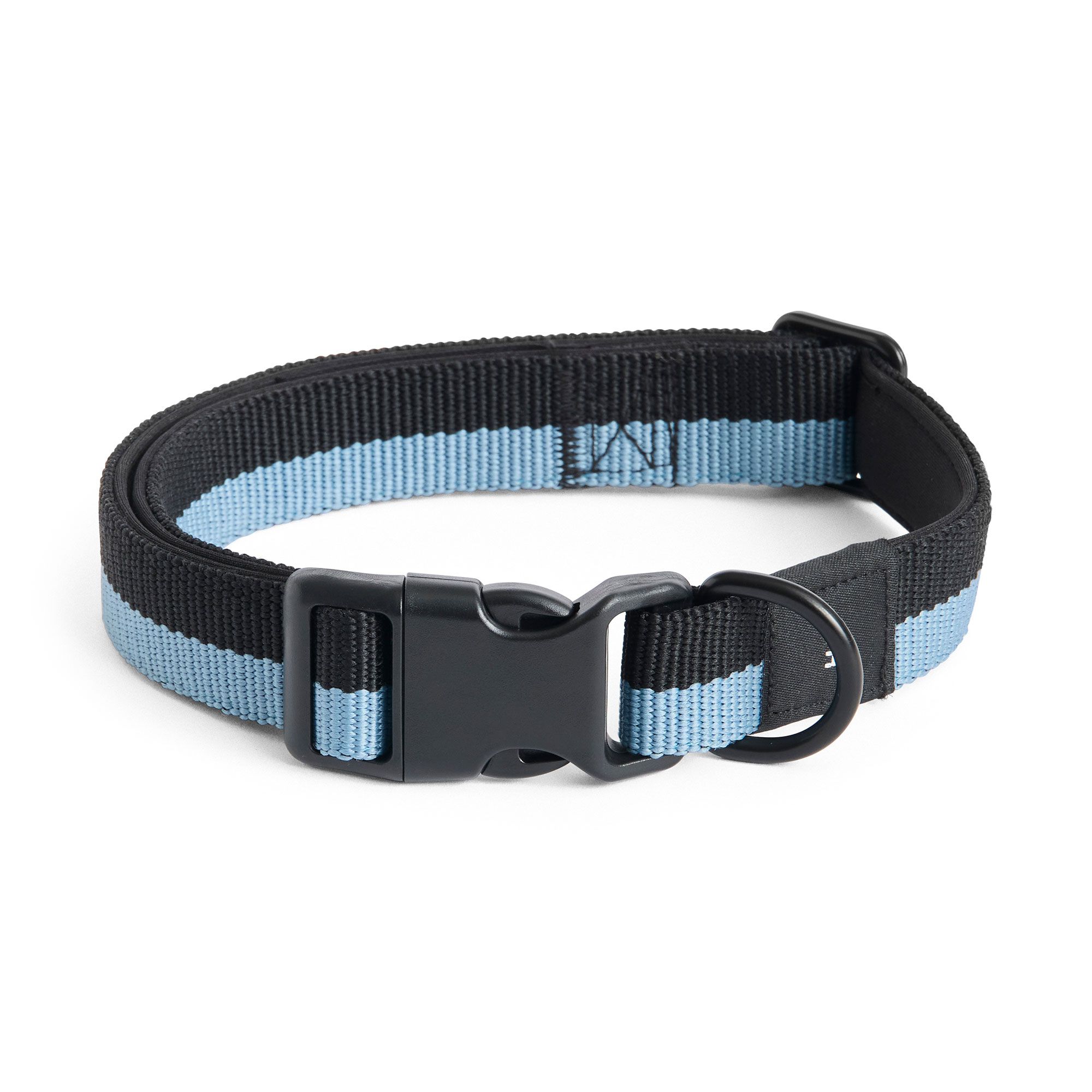 HAY Dogs Collar