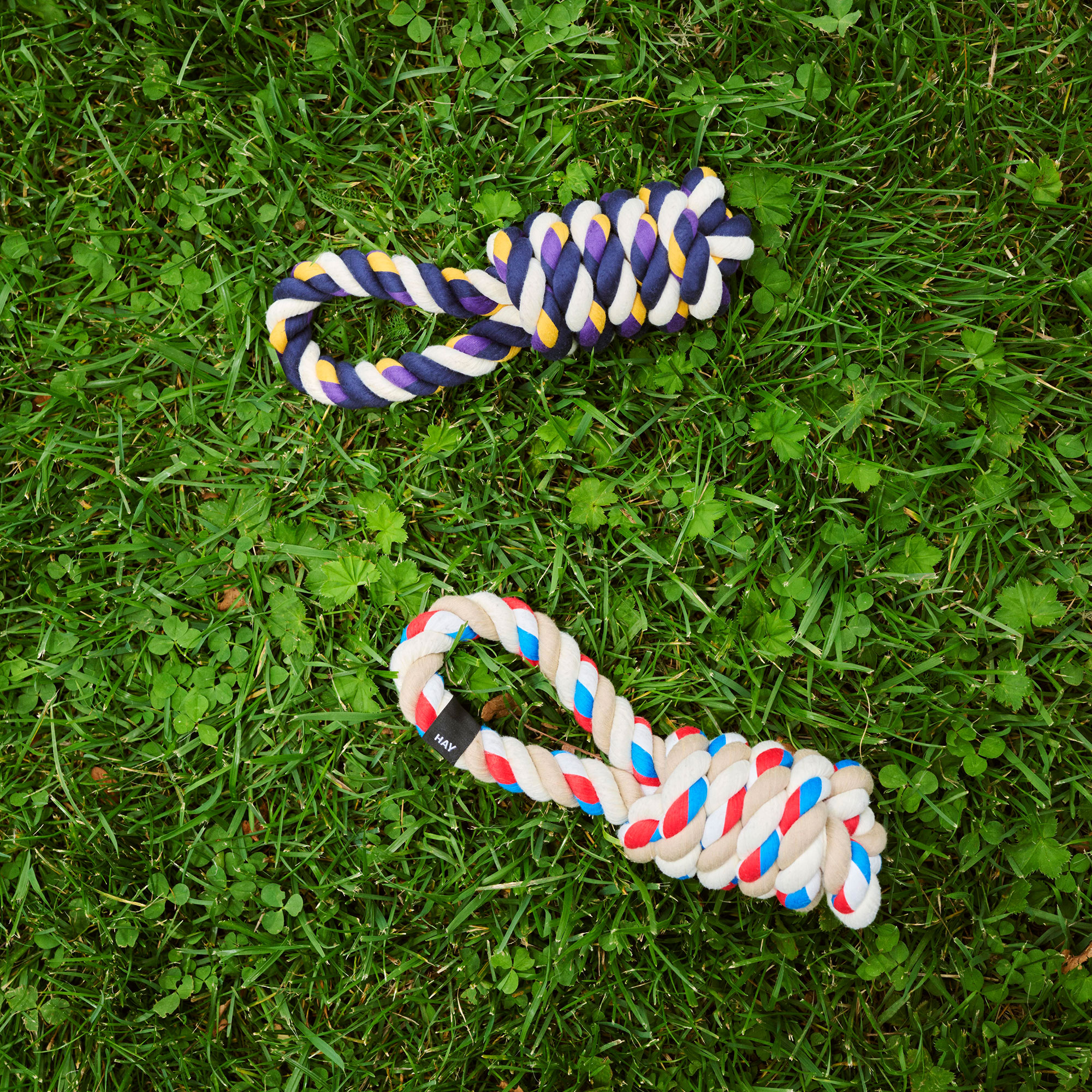 HAY Dogs Rope Toy