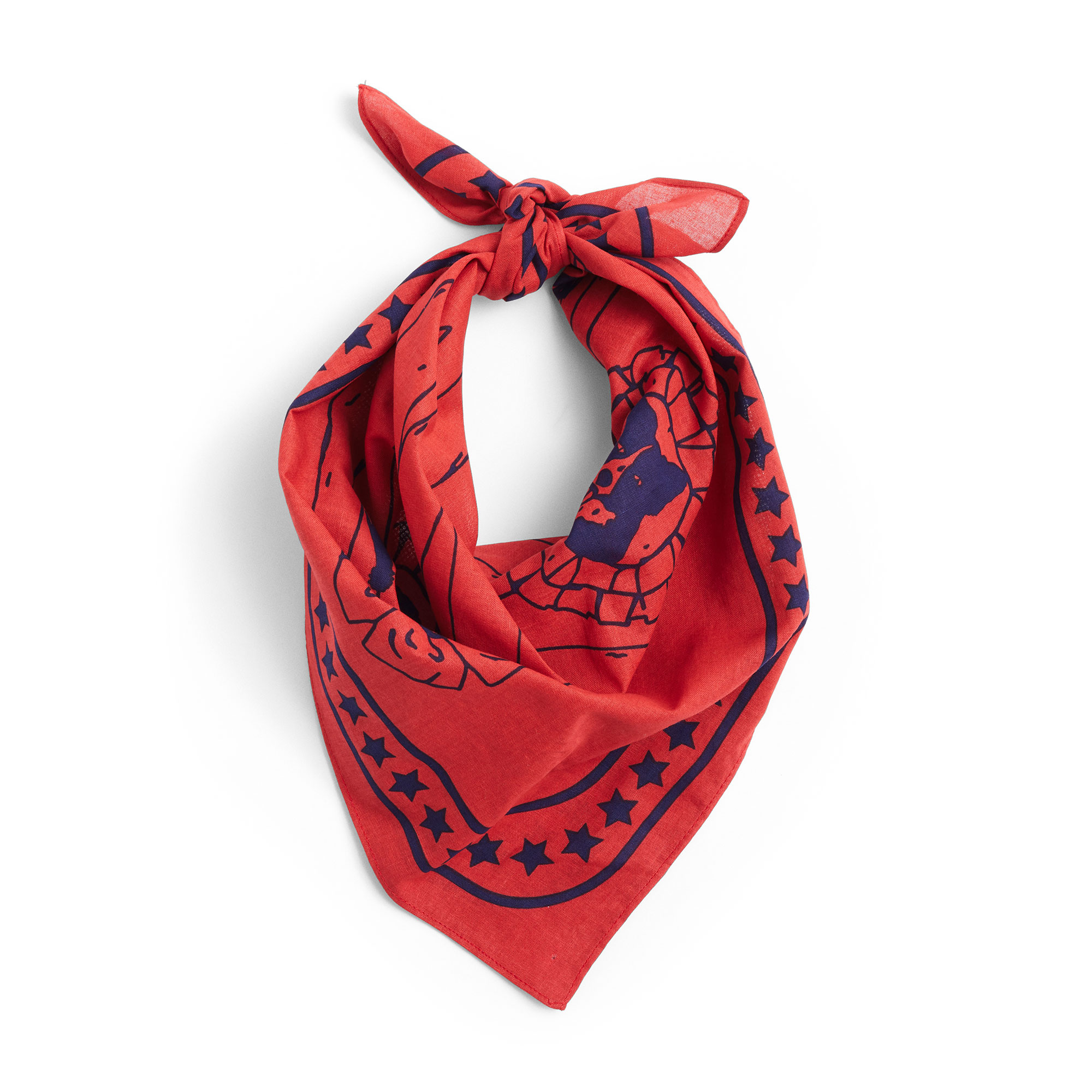 HAY Dogs Scarf