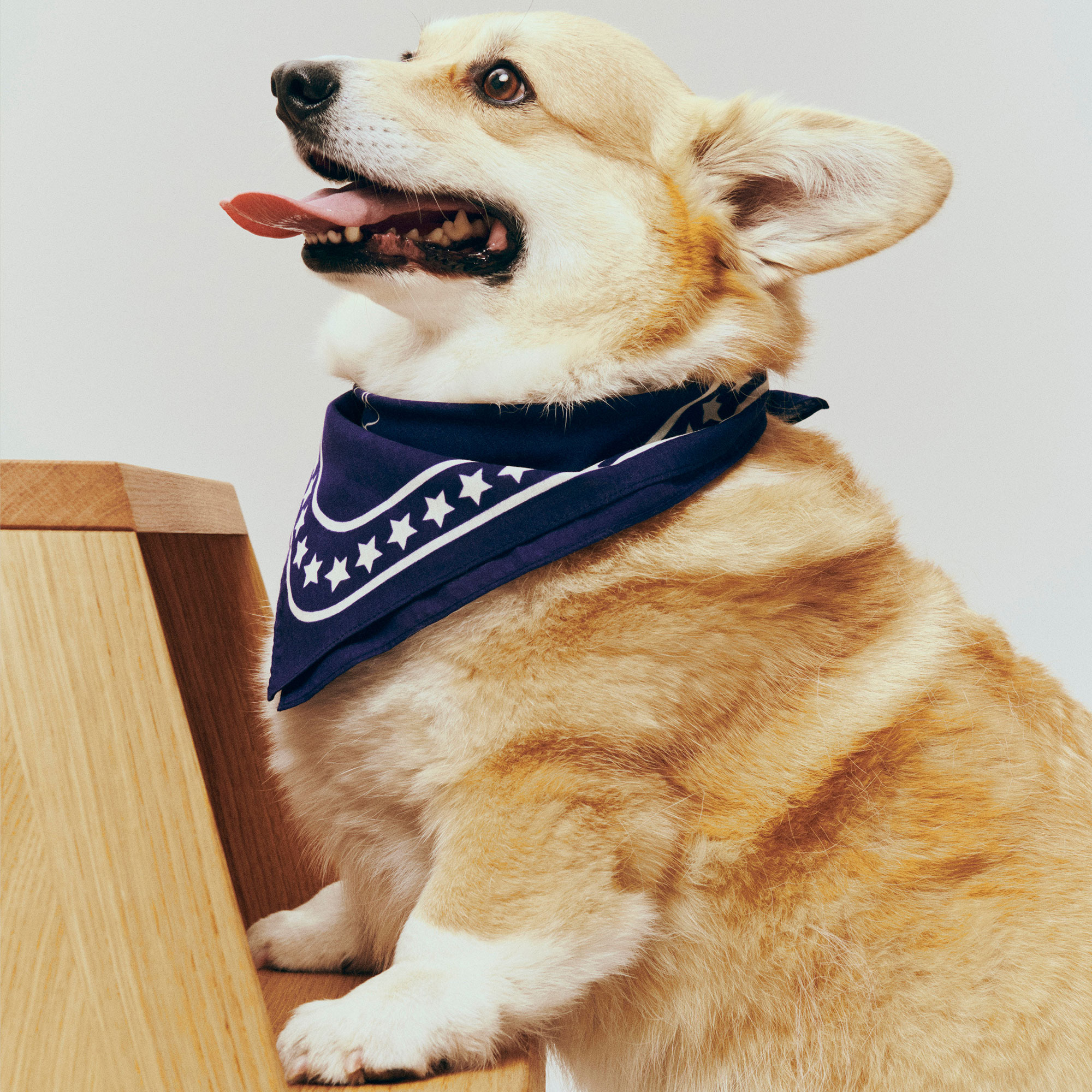 5317