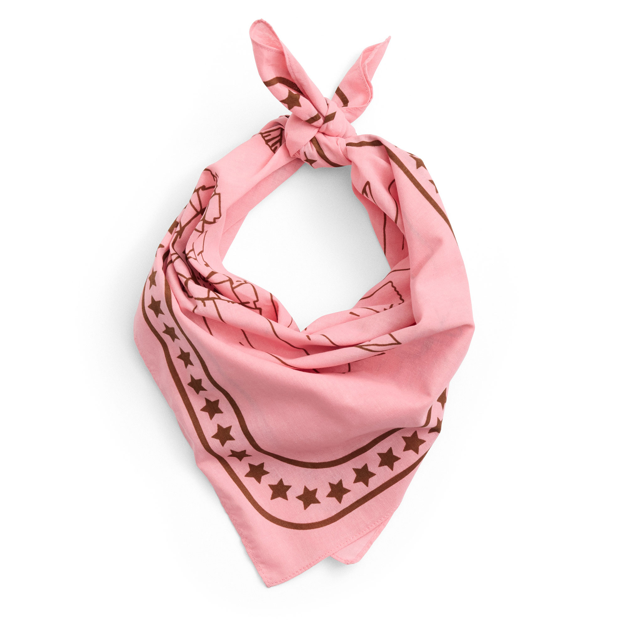 HAY Dogs Scarf